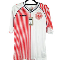 Denmark 2023 Special Football Shirt