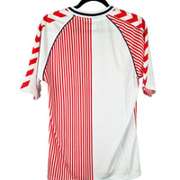 Denmark 2023 Special Football Shirt
